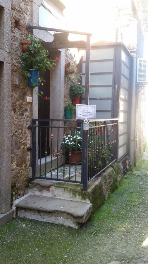 Il Vico Apartamento Serra San Bruno Exterior foto